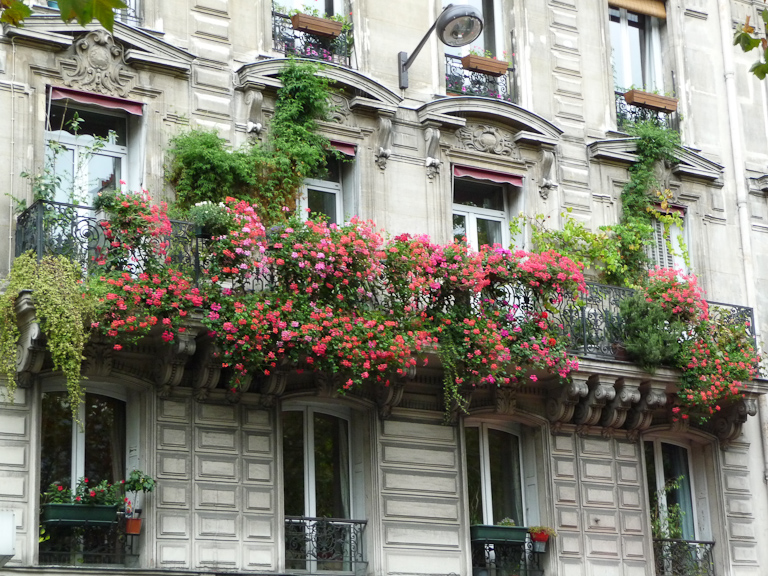 Voici ce que l'on aperçoit quand on marche le nez en l'air à Paris
