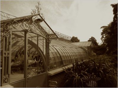 La serre de l'île aux palmiers de Nantes, telle qu'elle était avant sa restauration.